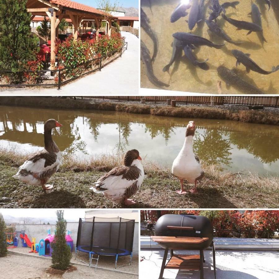 Hotel&Spamontenegro Rivijera فيليس المظهر الخارجي الصورة